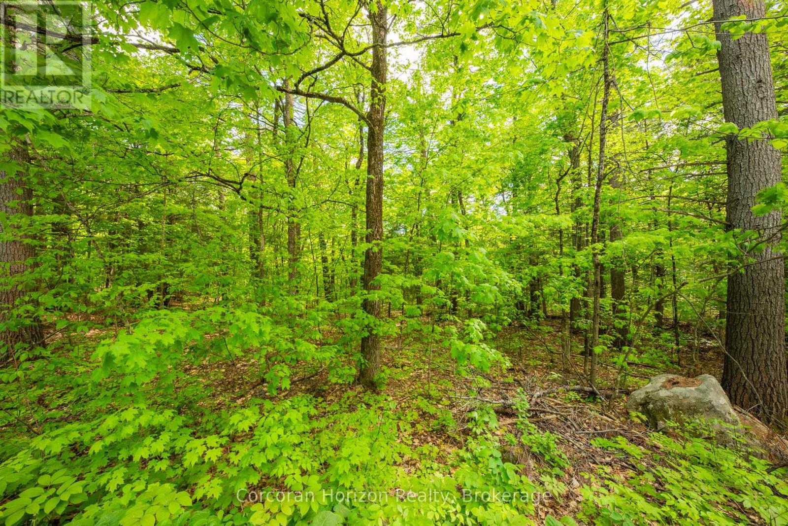 1020 Ridge Road, Muskoka Lakes, Ontario P0C 1M0 - Photo 26 - X13411528