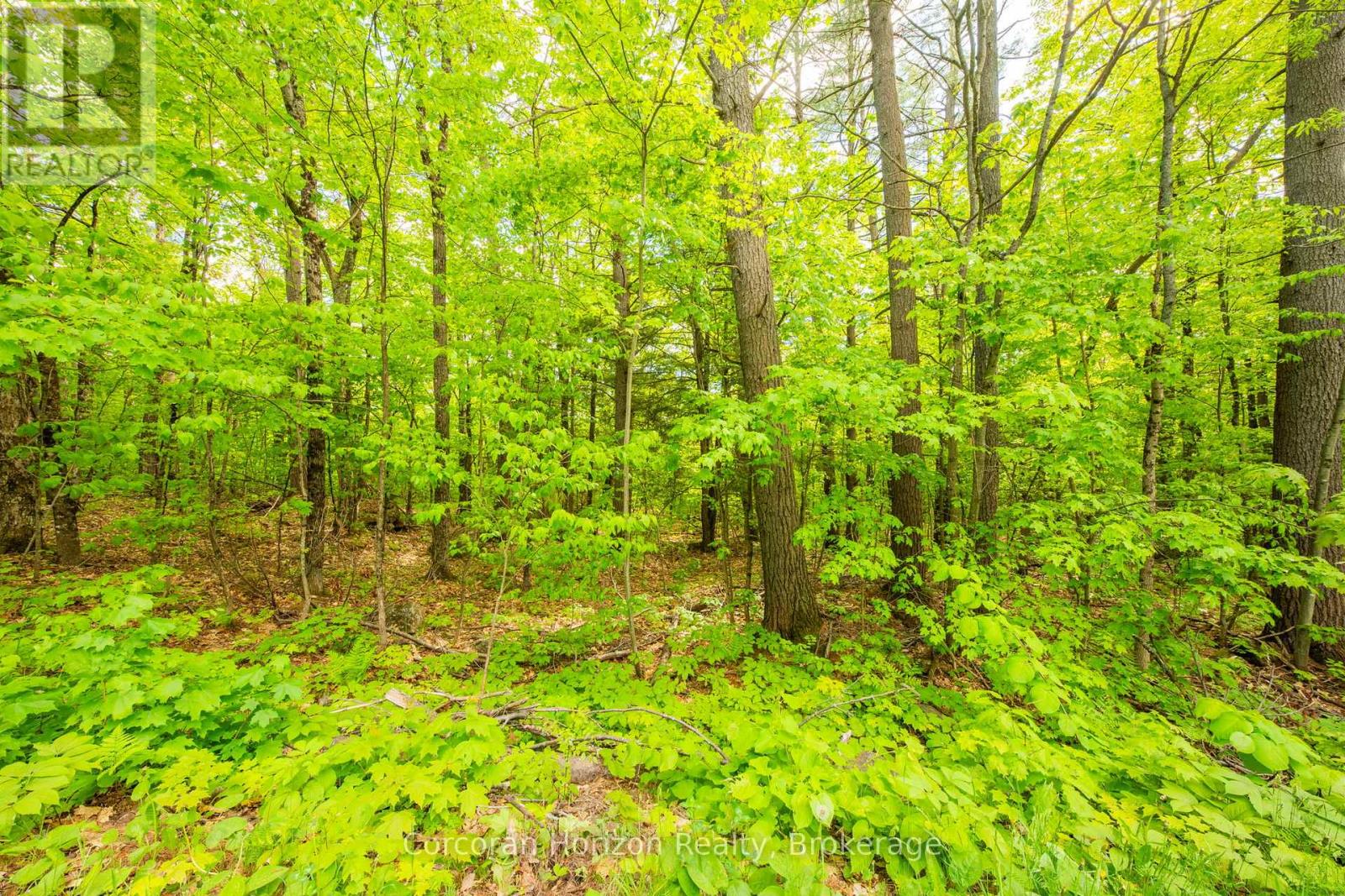 1020 Ridge Road, Muskoka Lakes, Ontario P0C 1M0 - Photo 27 - X13411528