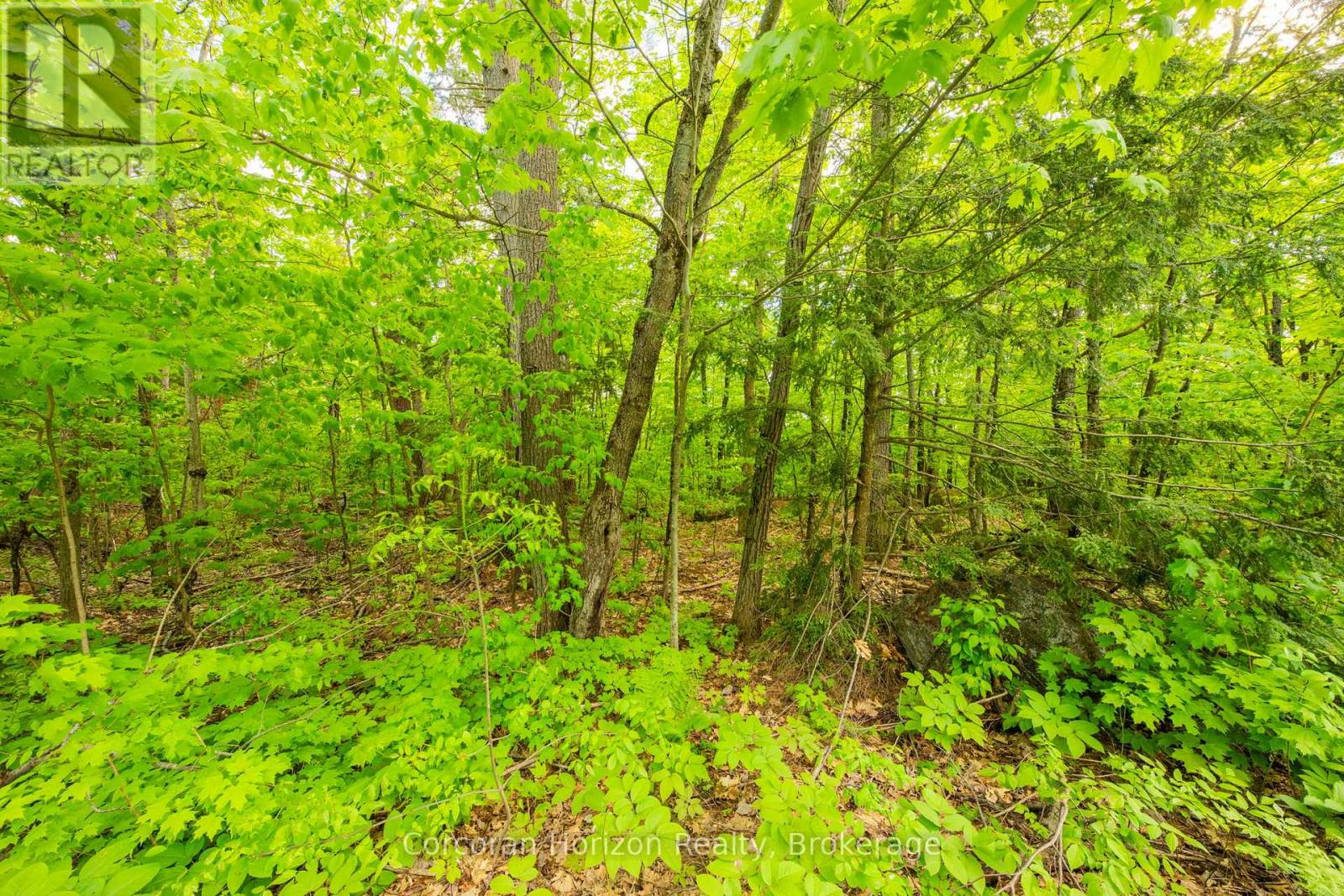 1020 Ridge Road, Muskoka Lakes, Ontario P0C 1M0 - Photo 28 - X13411528