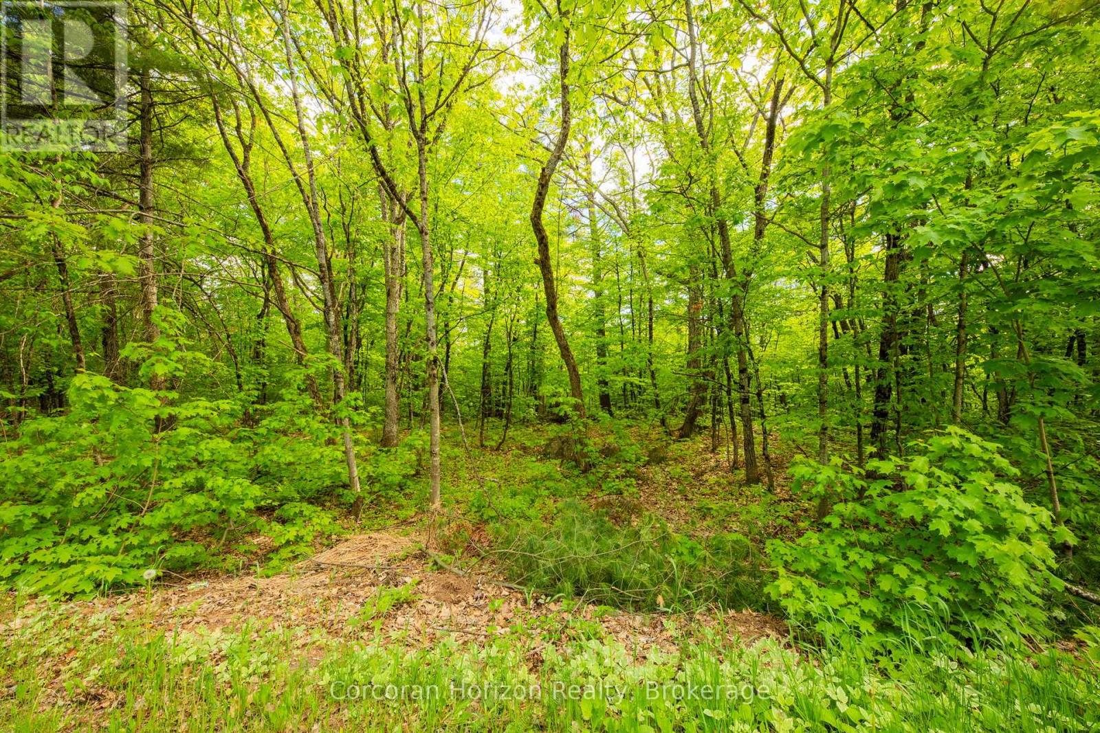 1020 Ridge Road, Muskoka Lakes, Ontario P0C 1M0 - Photo 29 - X13411528