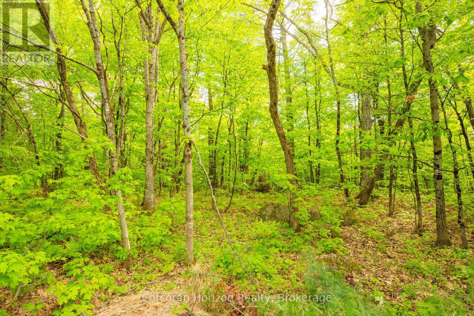 1020 Ridge Road, Muskoka Lakes, Ontario P0C 1M0 - Photo 30 - X13411528