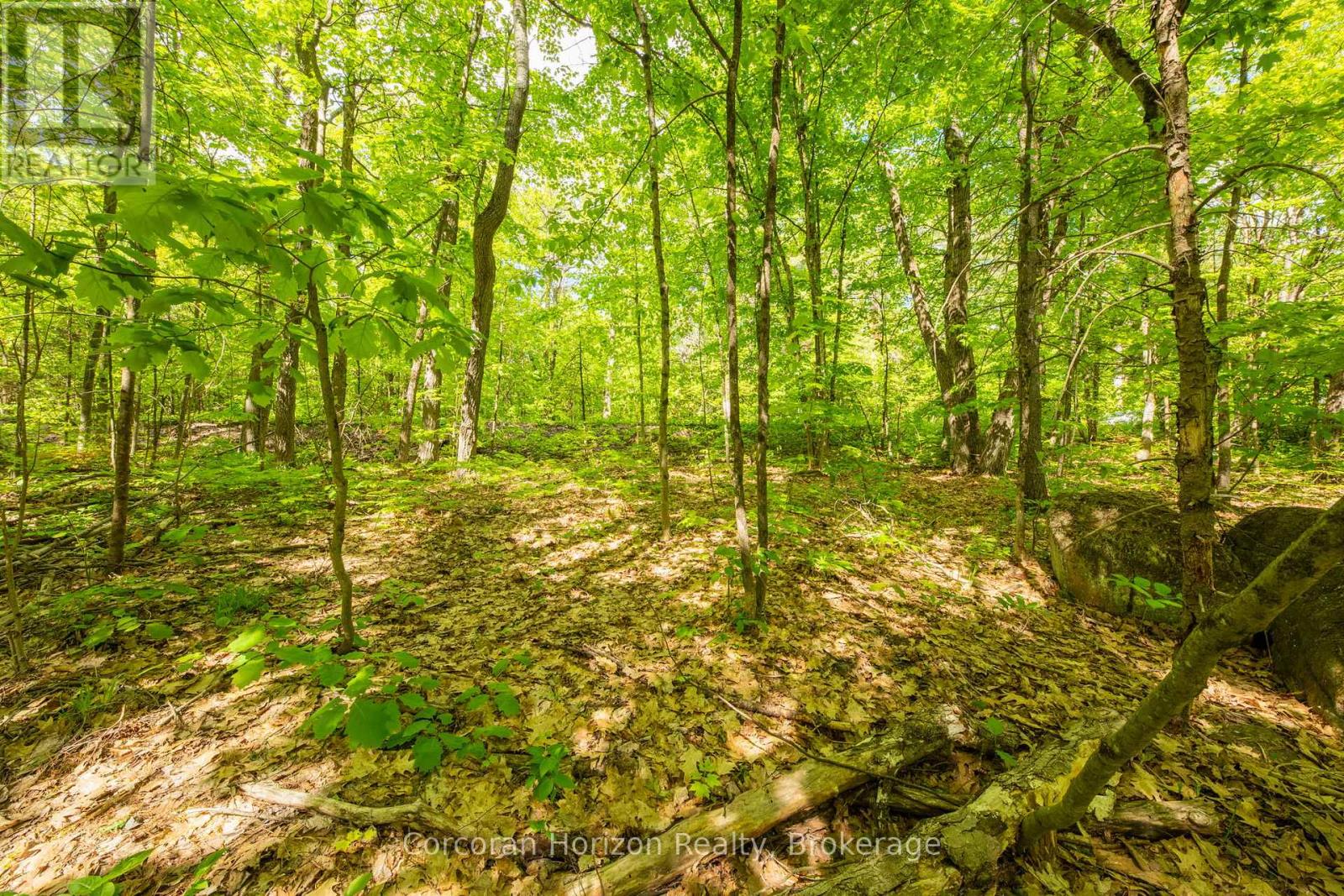 1020 Ridge Road, Muskoka Lakes, Ontario P0C 1M0 - Photo 31 - X13411528