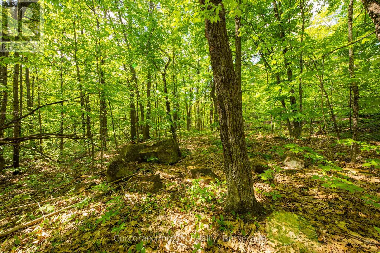 1020 Ridge Road, Muskoka Lakes, Ontario P0C 1M0 - Photo 32 - X13411528