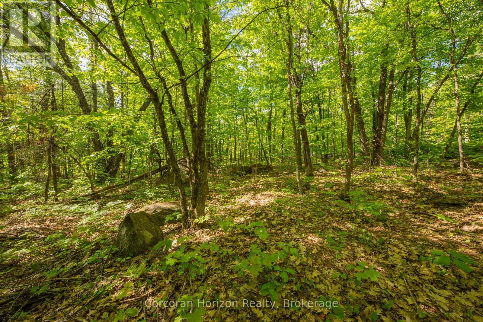1020 Ridge Road, Muskoka Lakes, Ontario P0C 1M0 - Photo 33 - X13411528