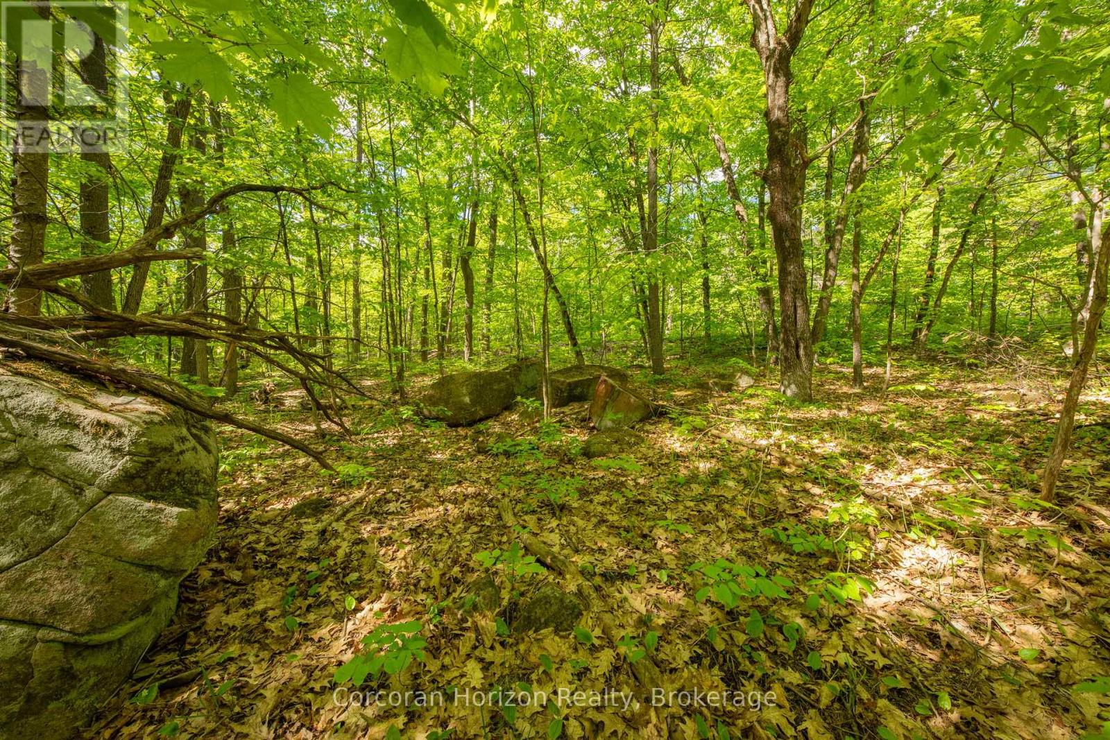 1020 Ridge Road, Muskoka Lakes, Ontario P0C 1M0 - Photo 34 - X13411528