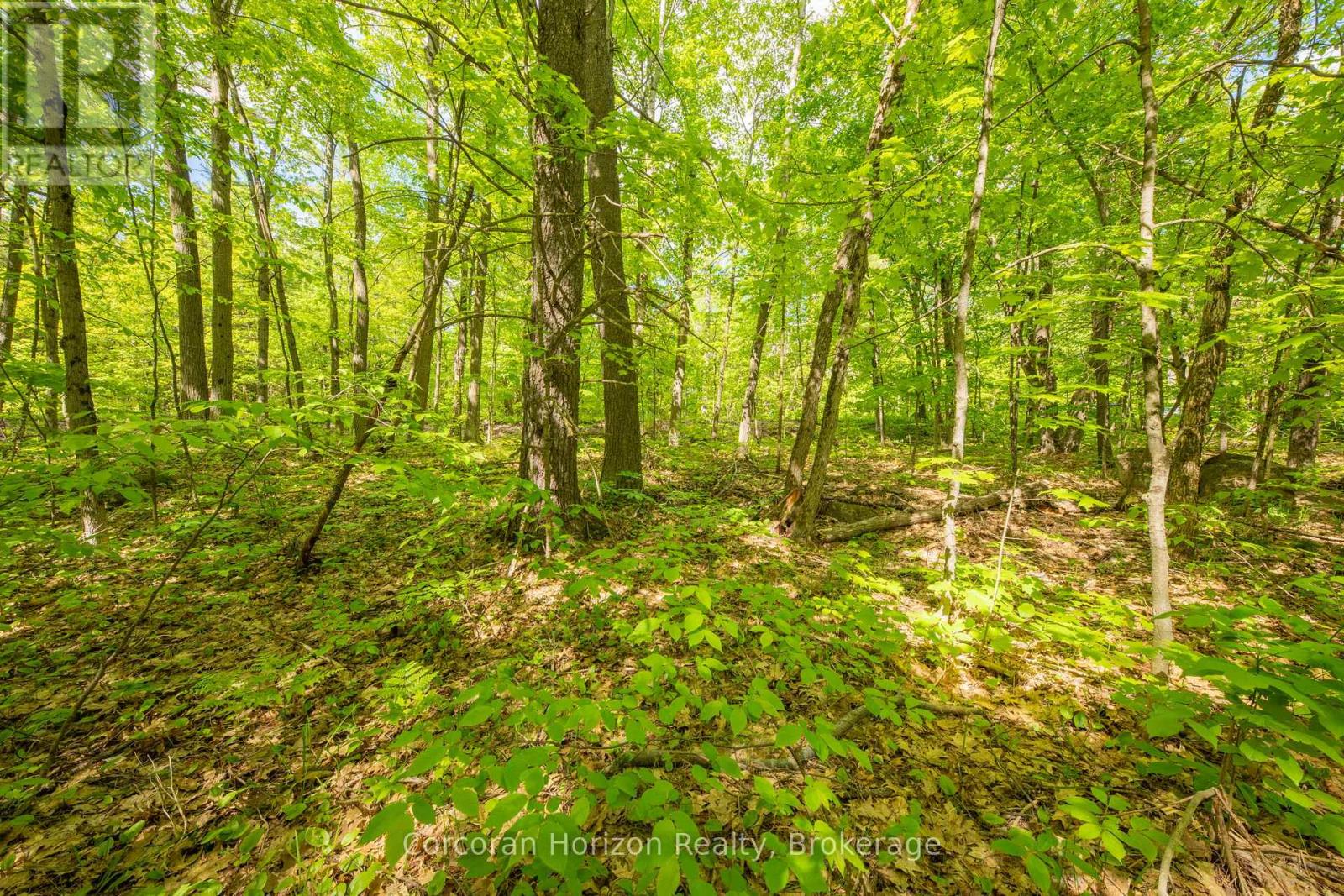 1020 Ridge Road, Muskoka Lakes, Ontario P0C 1M0 - Photo 35 - X13411528