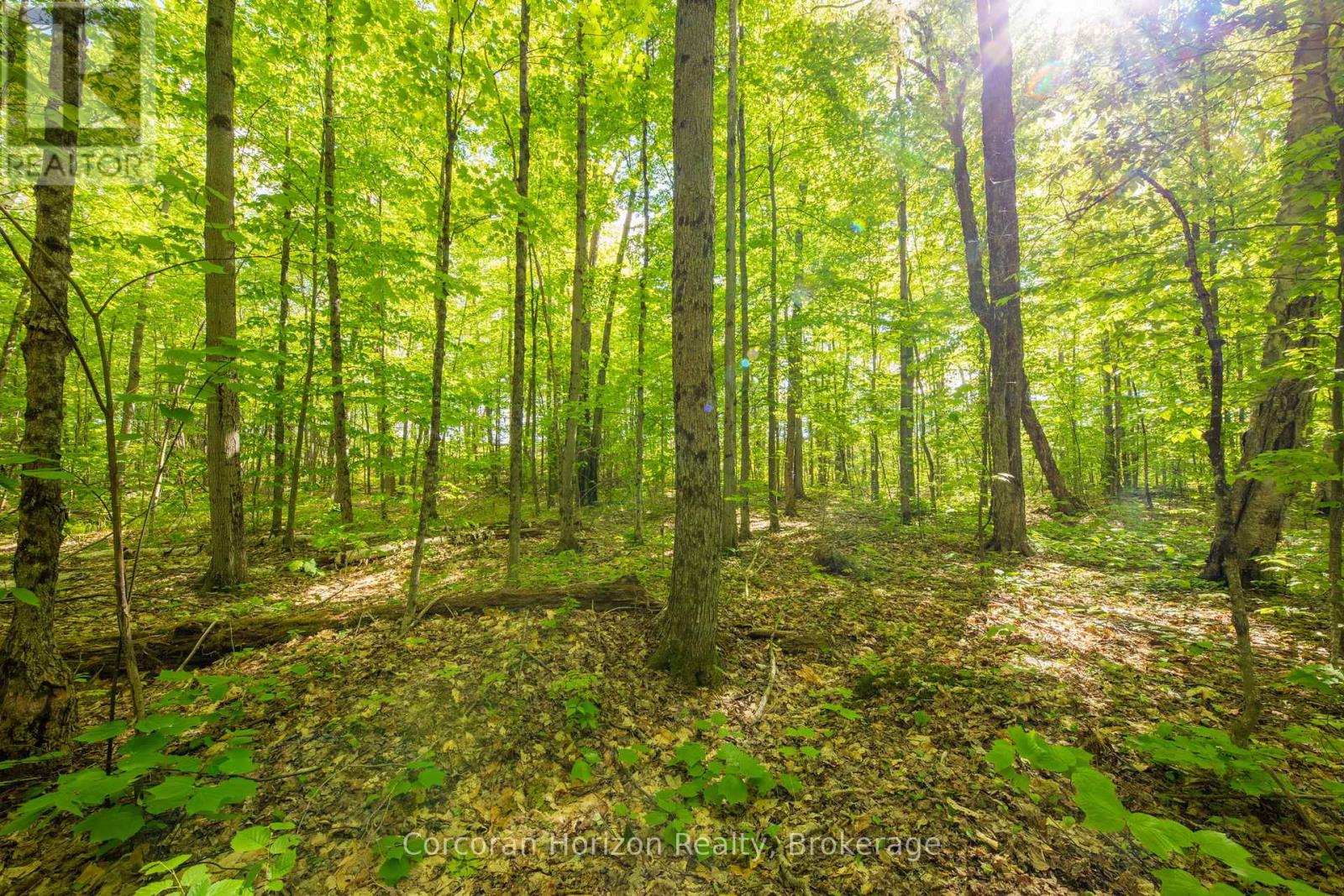 1020 Ridge Road, Muskoka Lakes, Ontario P0C 1M0 - Photo 36 - X13411528
