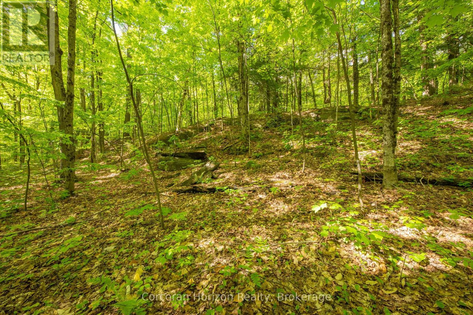1020 Ridge Road, Muskoka Lakes, Ontario P0C 1M0 - Photo 37 - X13411528