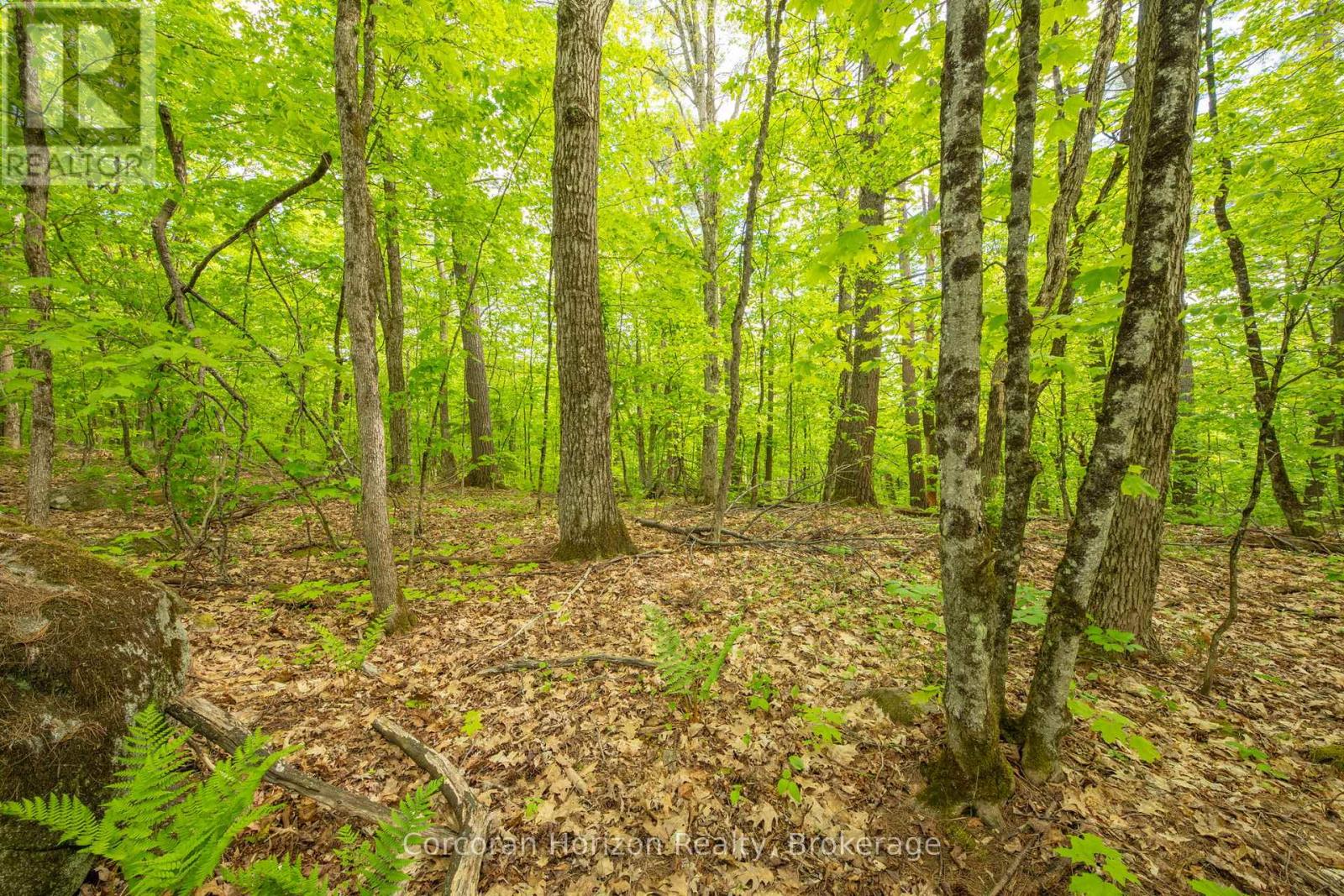 1020 Ridge Road, Muskoka Lakes, Ontario P0C 1M0 - Photo 39 - X13411528