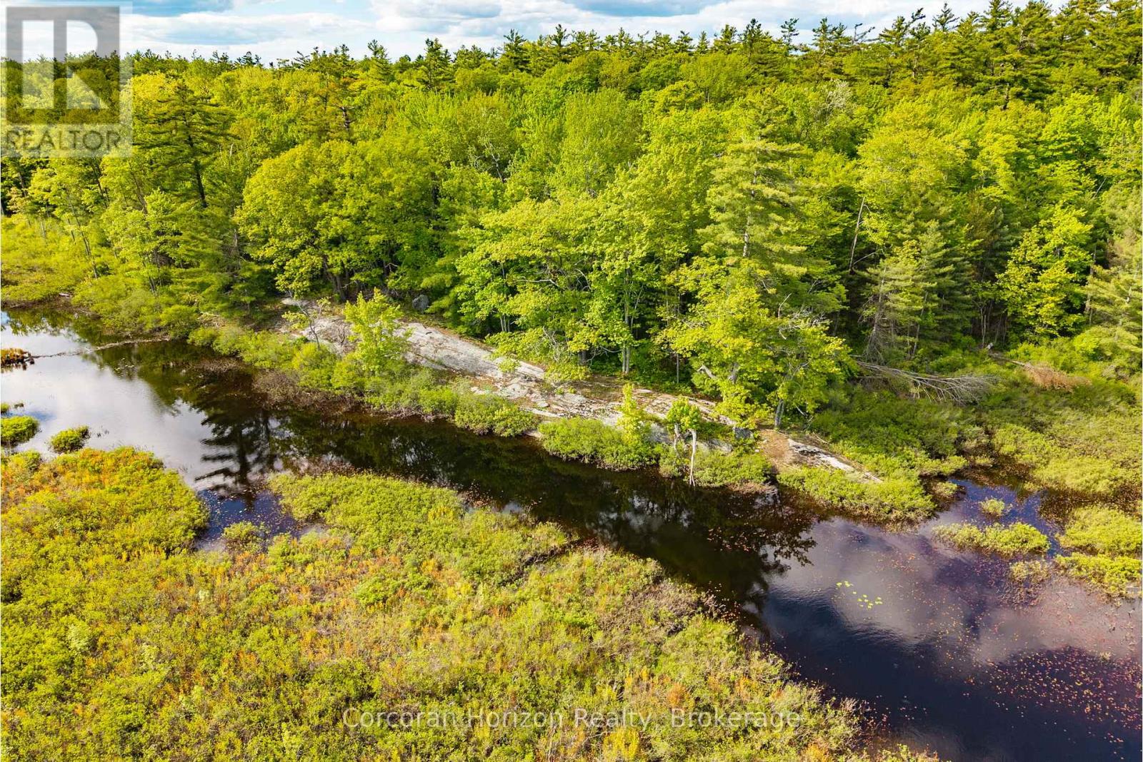 1020 Ridge Road, Muskoka Lakes, Ontario P0C 1M0 - Photo 43 - X13411528