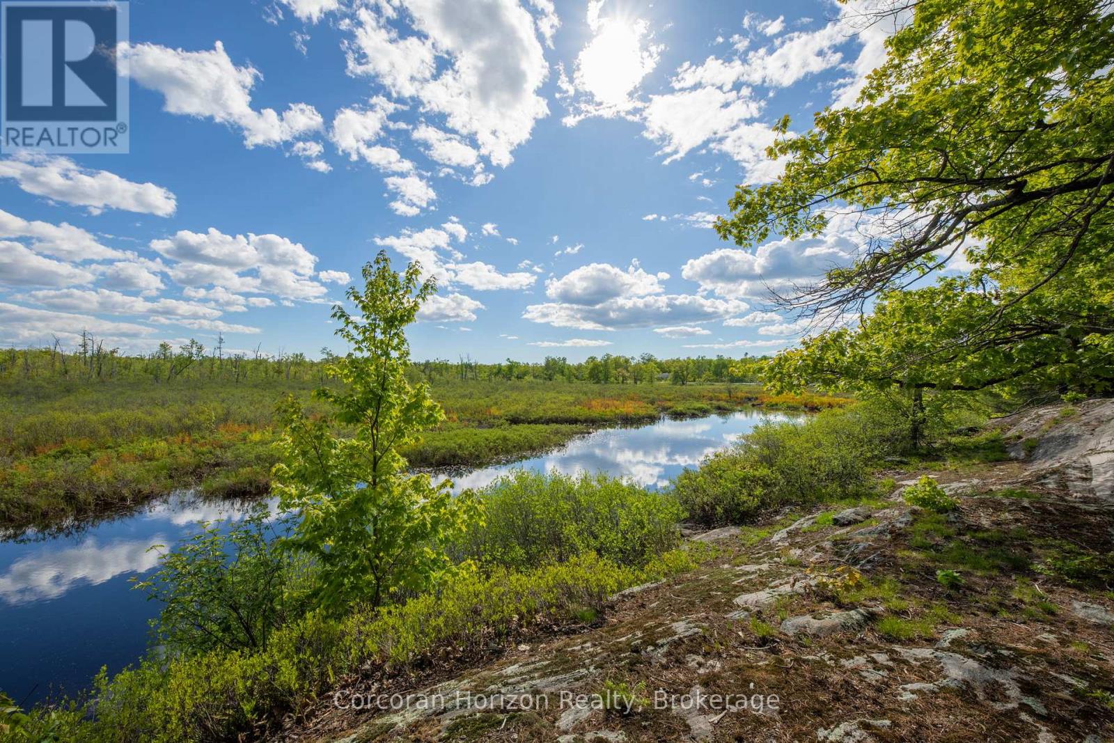 1020 Ridge Road, Muskoka Lakes, Ontario P0C 1M0 - Photo 7 - X13411528