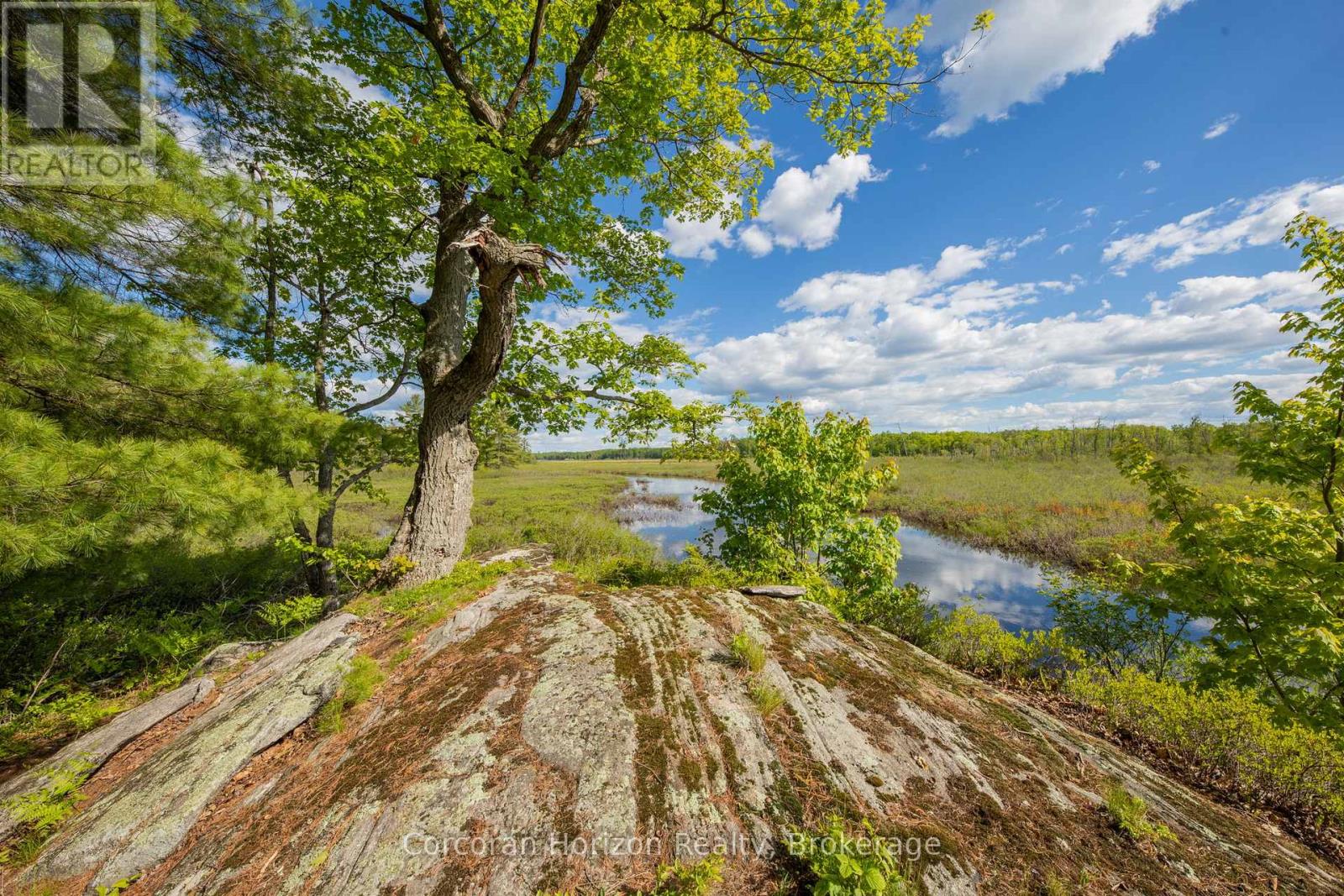 1020 Ridge Road, Muskoka Lakes, Ontario P0C 1M0 - Photo 8 - X13411528