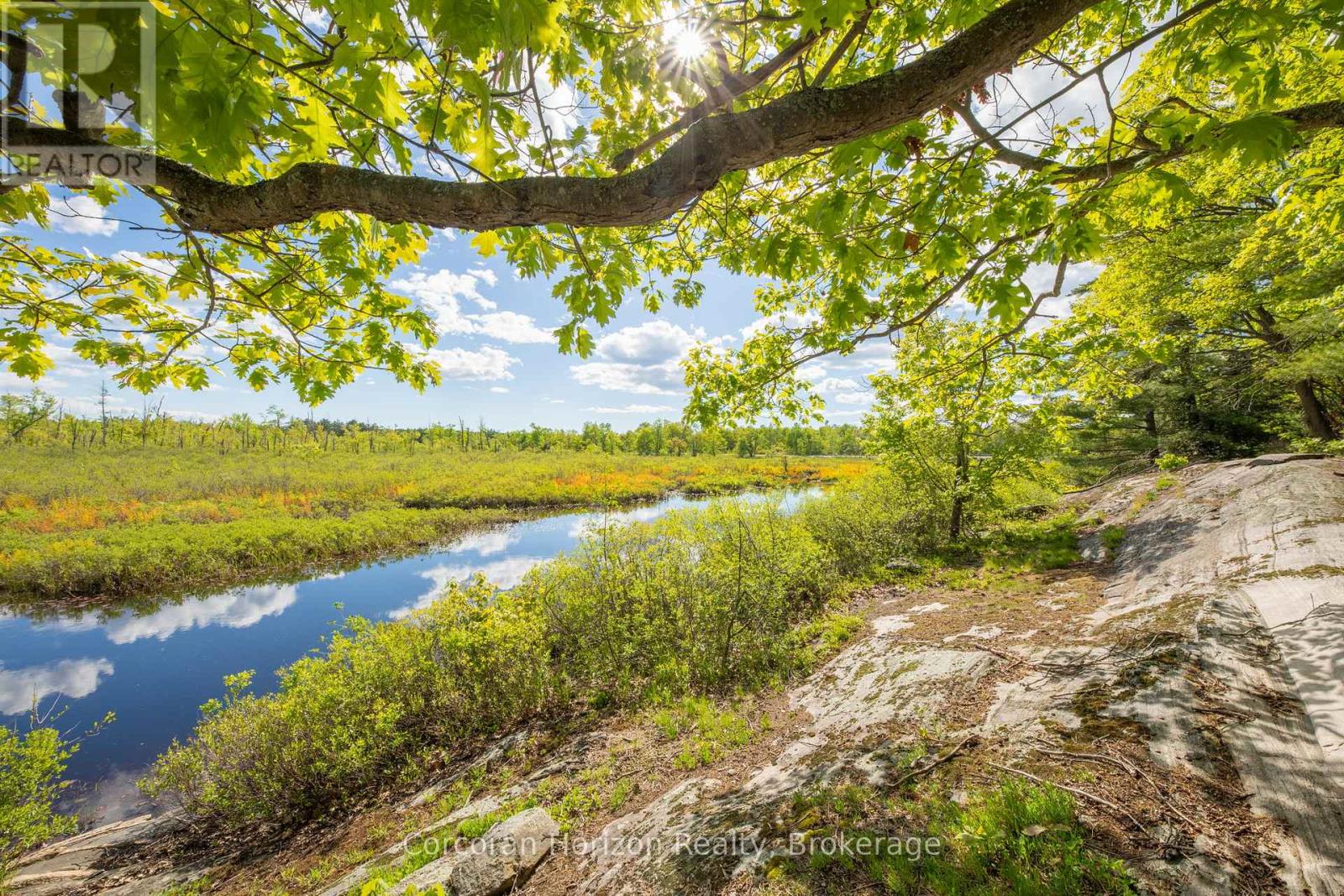 1020 Ridge Road, Muskoka Lakes, Ontario P0C 1M0 - Photo 9 - X13411528