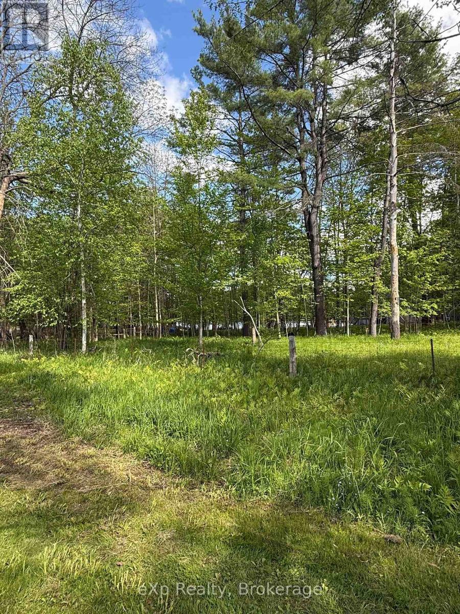 50 Joseph Street, Muskoka Lakes, Ontario P0B 1J0 - Photo 7 - X13416040