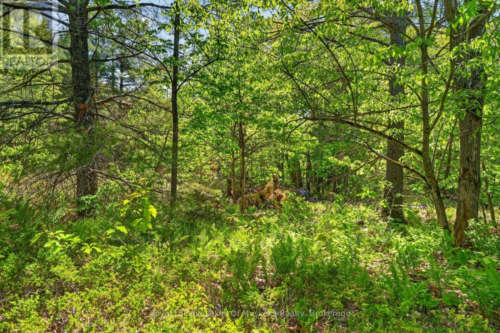 1018 Sniders Bay Road, Gravenhurst, Ontario P1P 1R2 - Photo 36 - X13418592