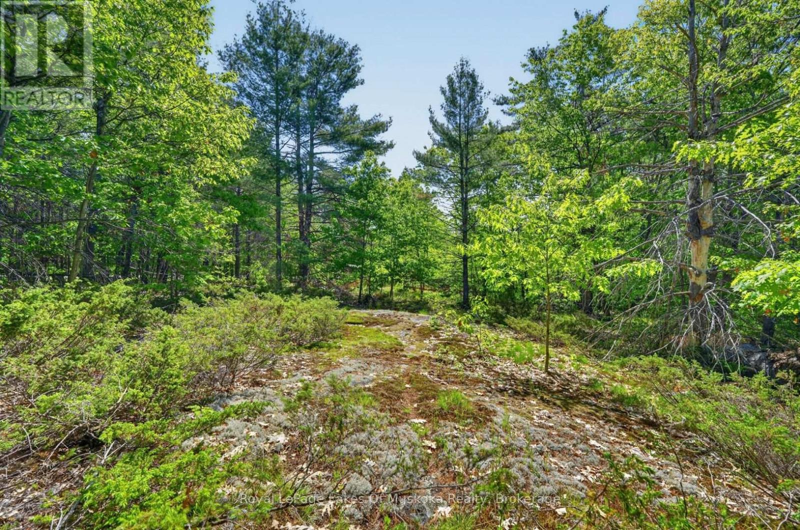 1018 Sniders Bay Road, Gravenhurst, Ontario P1P 1R2 - Photo 37 - X13418592
