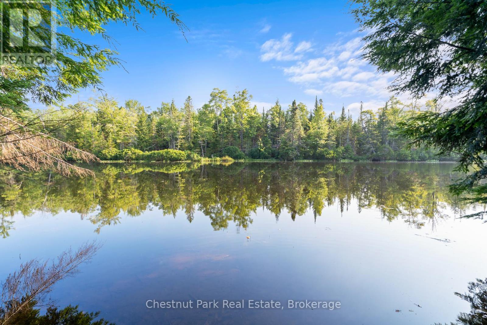 1025 Moe's Road, Bracebridge, Ontario P1L 1X3 - Photo 24 - X13422310