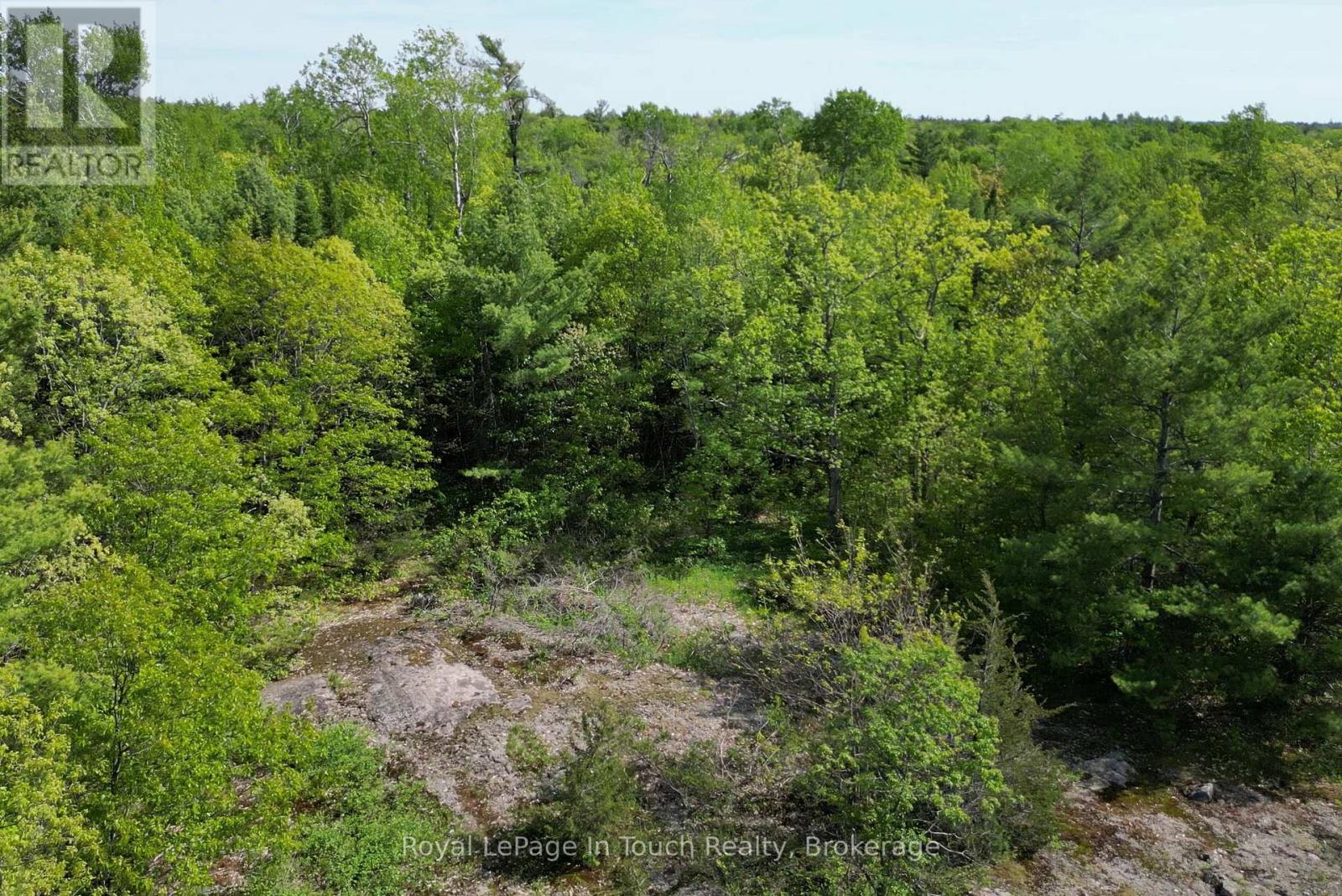 446 South Bay Road, Georgian Bay, Ontario L0K 1S0 - Photo 2 - X13423322