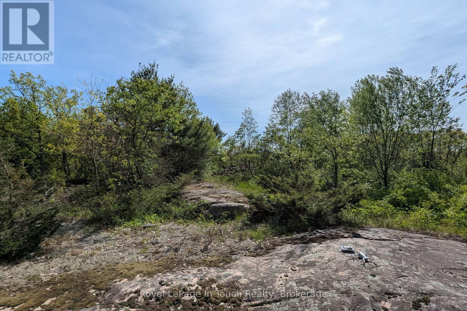 446 South Bay Road, Georgian Bay, Ontario L0K 1S0 - Photo 5 - X13423322