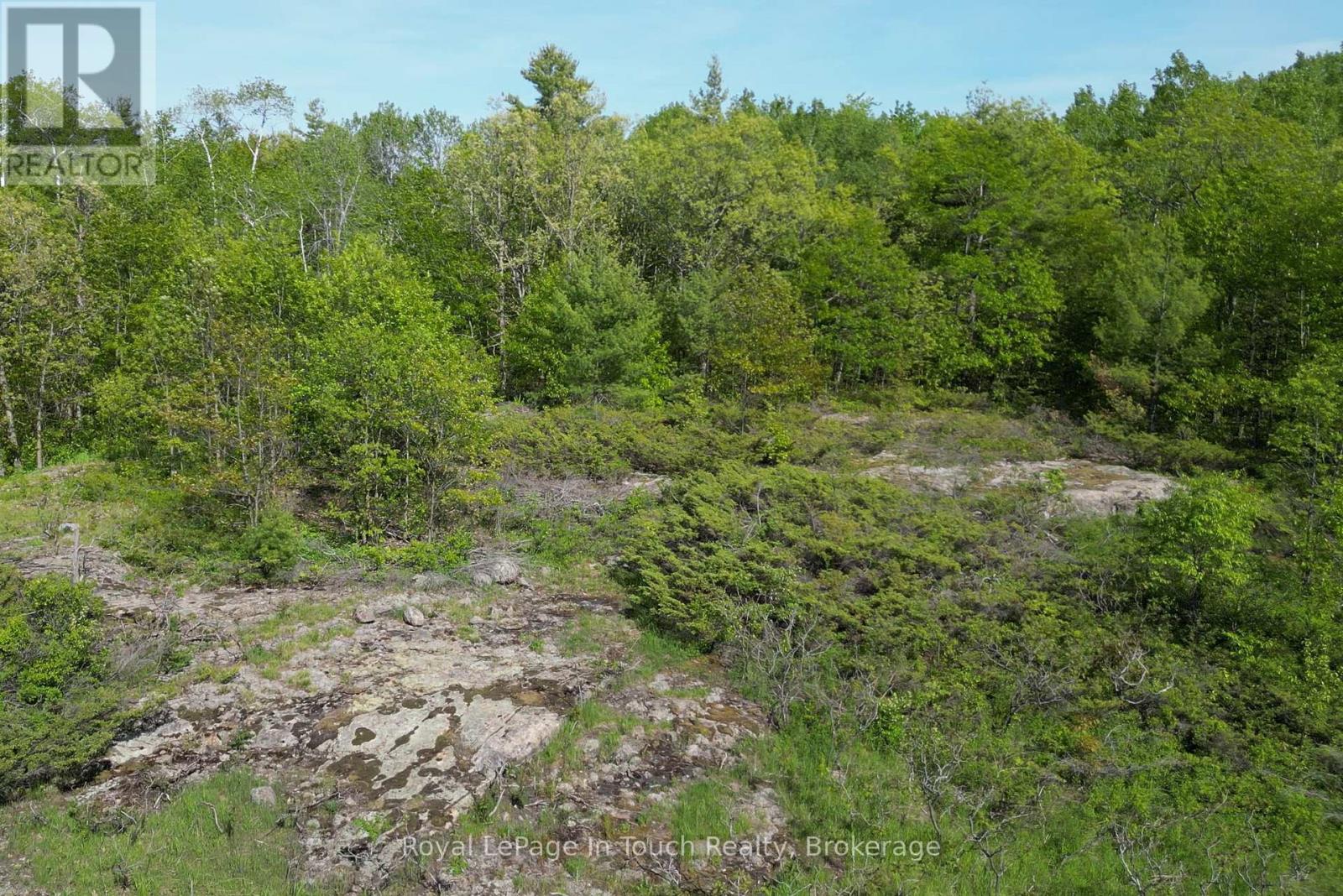 408 South Bay Road, Georgian Bay, Ontario L0K 1S0 - Photo 9 - X13423326