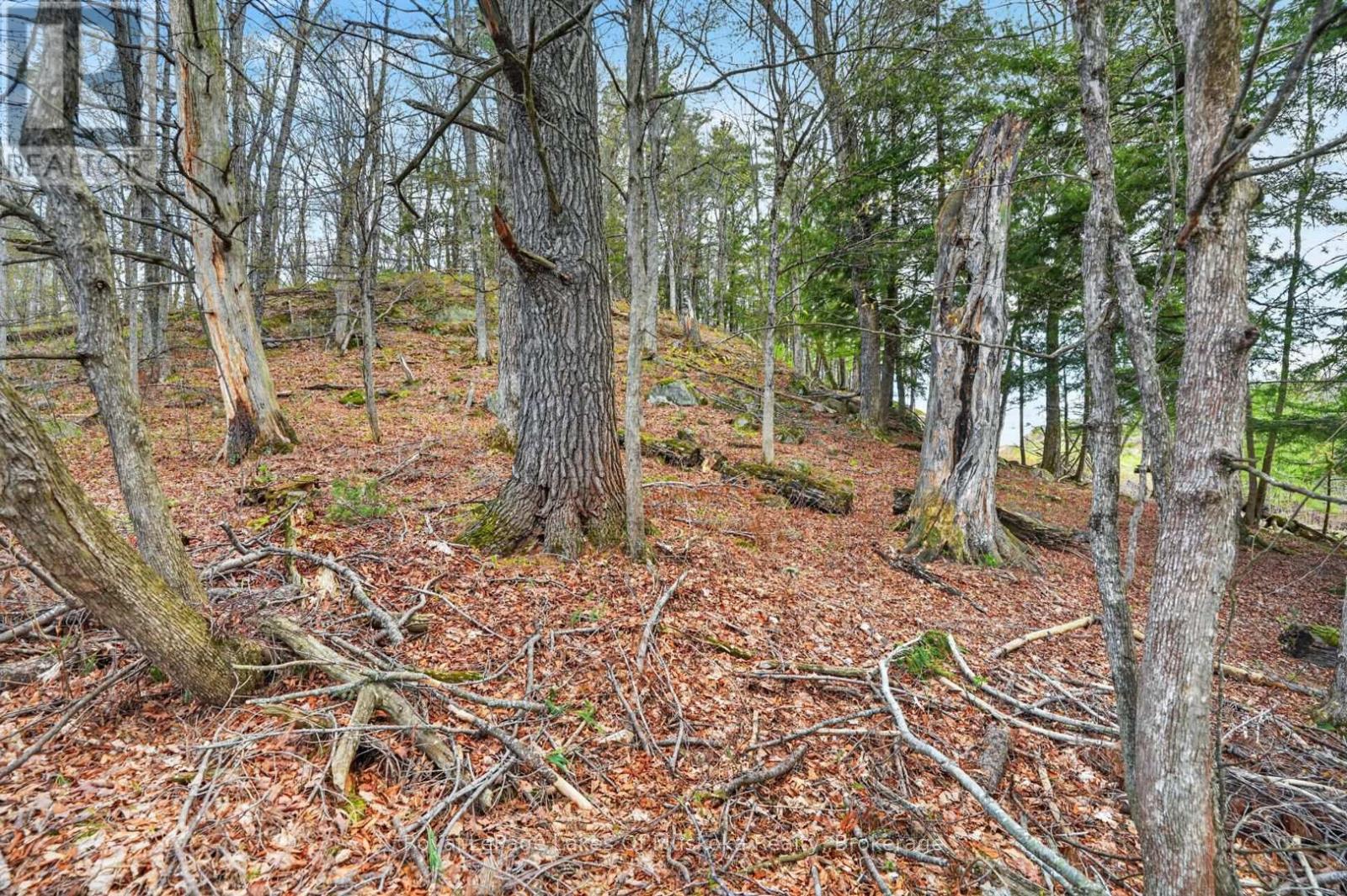 32 Gainsborough Road, Bracebridge, Ontario  P1L 1W8 - Photo 2 - X13424294