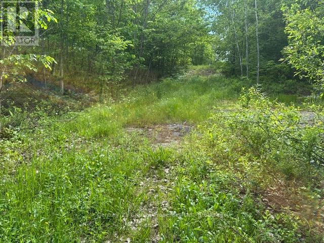 0 N/a, Seguin, Ontario  P2A 2W8 - Photo 5 - X13428200