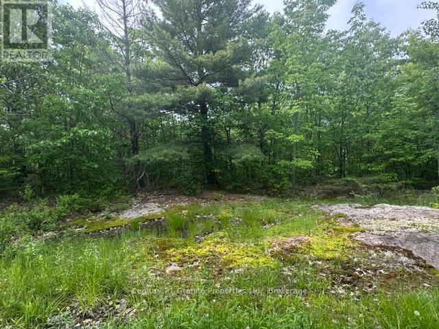 0 N/a, Seguin, Ontario  P2A 2W8 - Photo 6 - X13428200