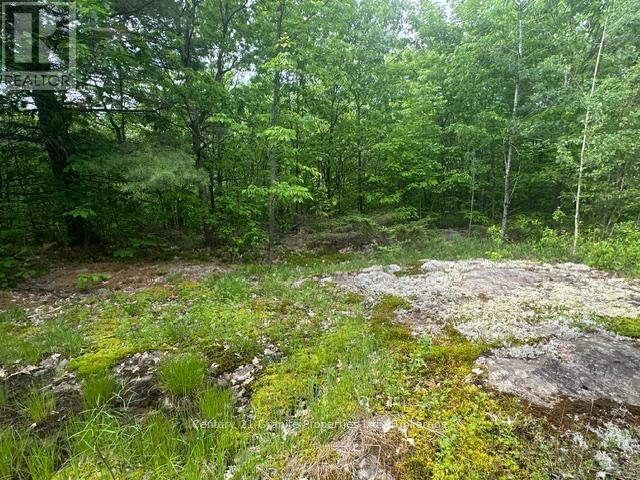 0 N/a, Seguin, Ontario  P2A 2W8 - Photo 7 - X13428200