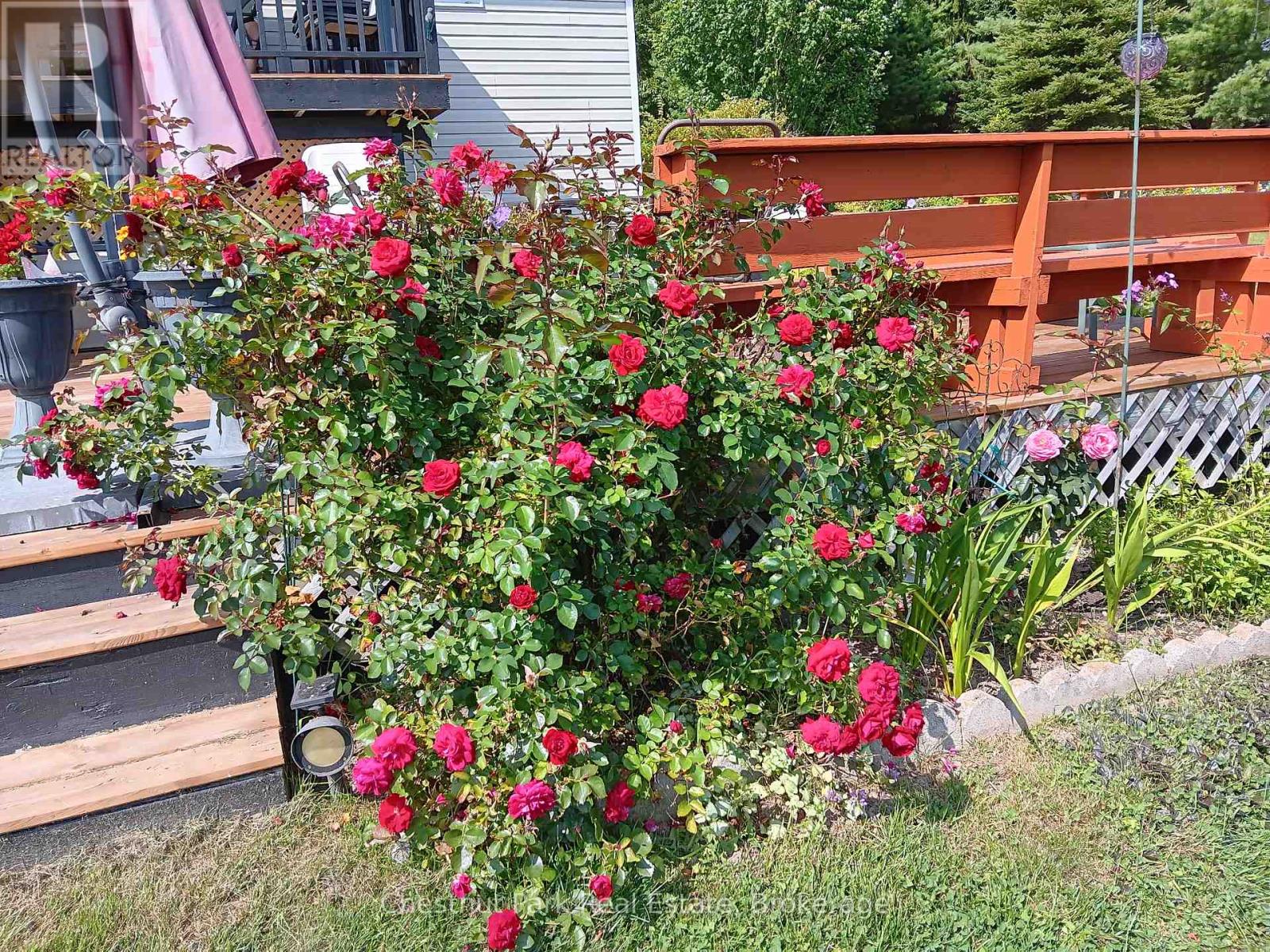 996 North Mary Lake Road, Huntsville, Ontario P1H 1S4 - Photo 28 - X13429146