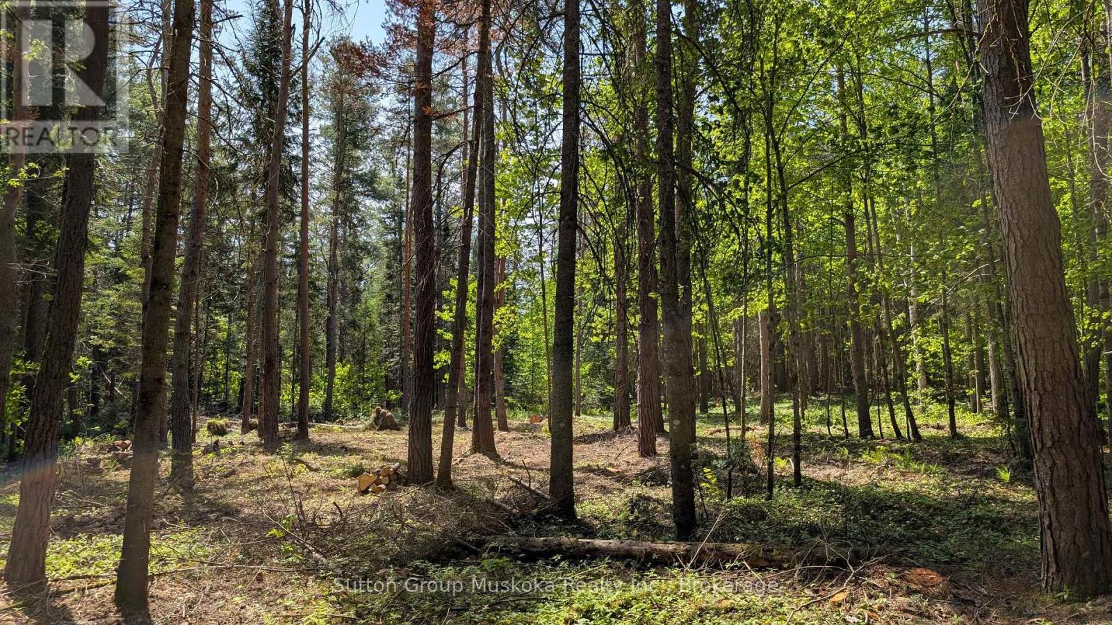 Lot 1 Red Pine Trail, Bracebridge, Ontario P0B 1L0 - Photo 4 - X13432906