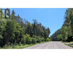 LOT 1 RED PINE TRAIL, Bracebridge, Ontario