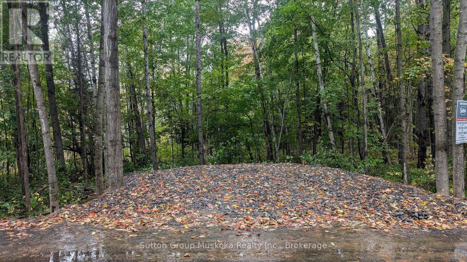 Lot 1 Tally-Ho Winter Park Road, Lake Of Bays, Ontario P1H 2E8 - Photo 2 - X13433076