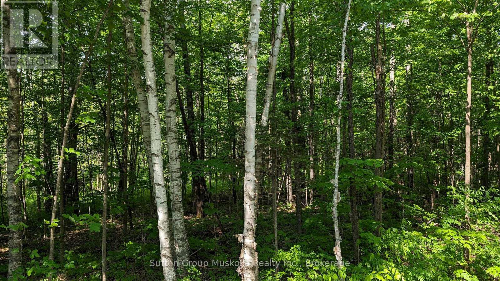 Lot 1 Tally-Ho Winter Park Road, Lake Of Bays, Ontario P1H 2E8 - Photo 3 - X13433076