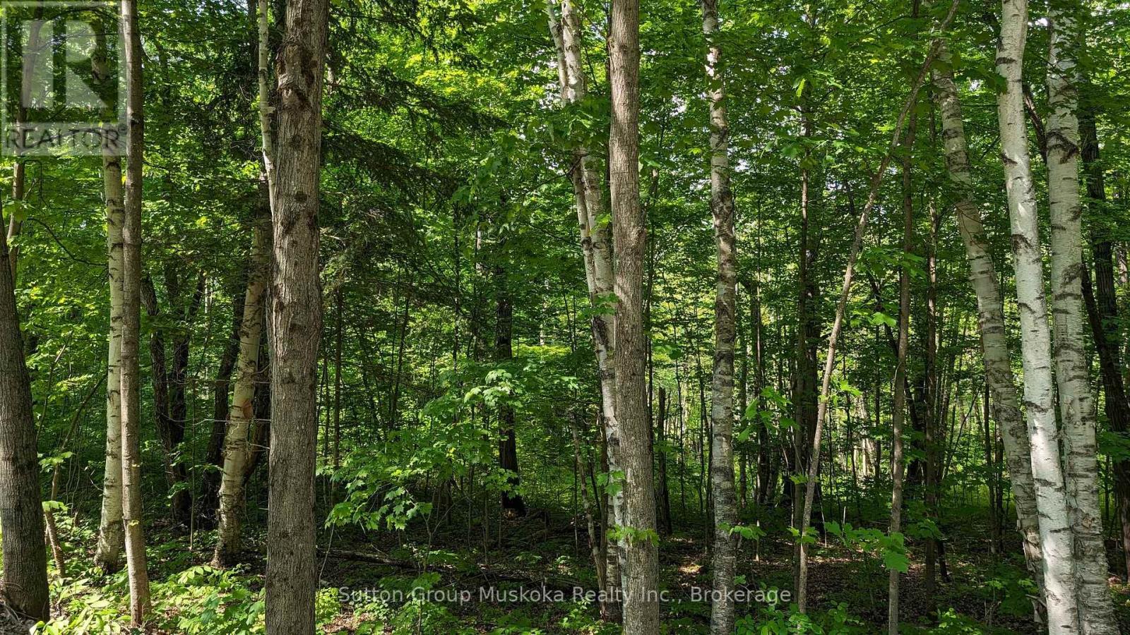 Lot 1 Tally-Ho Winter Park Road, Lake Of Bays, Ontario P1H 2E8 - Photo 4 - X13433076