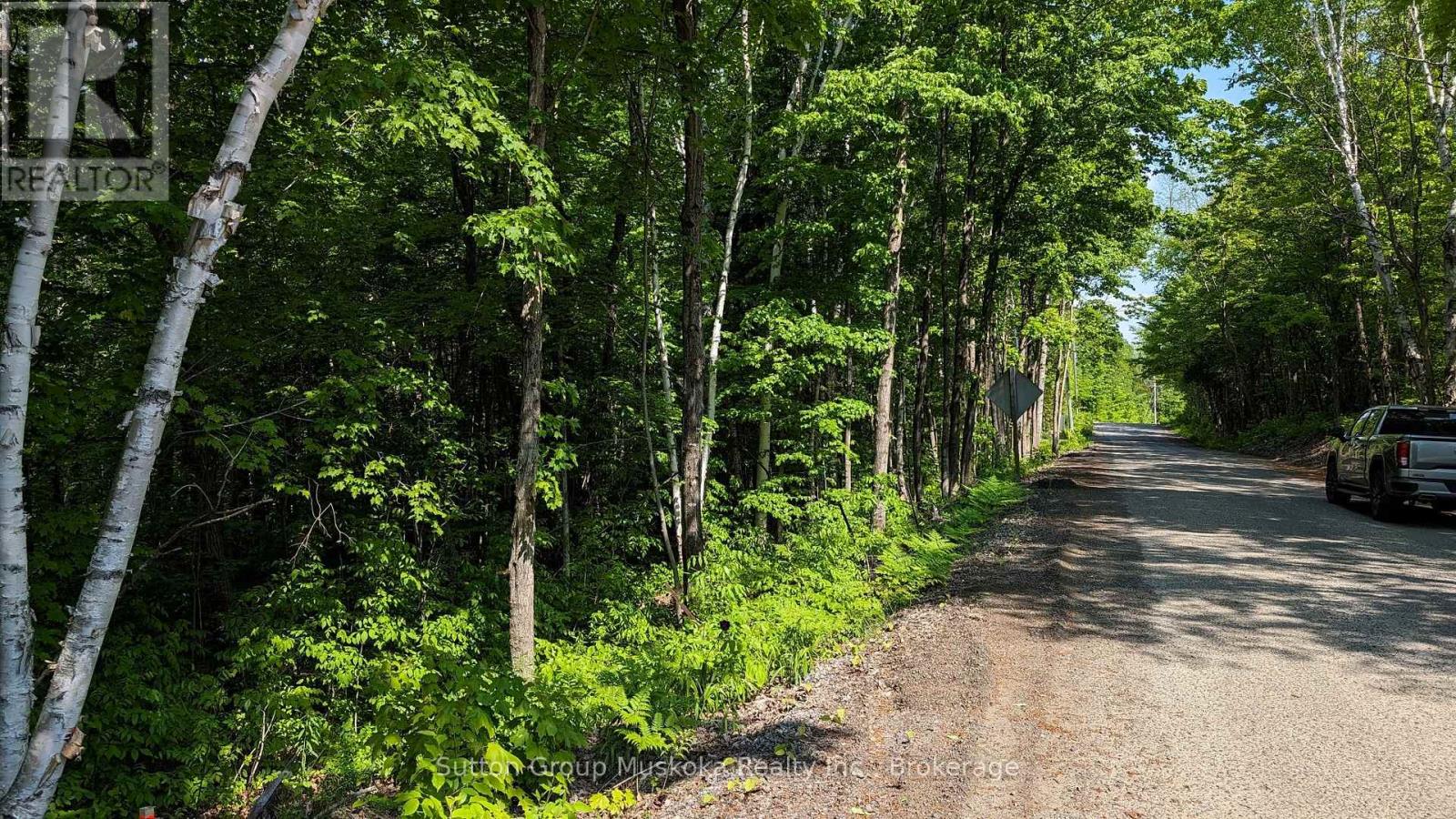 Lot 1 Tally-Ho Winter Park Road, Lake Of Bays, Ontario P1H 2E8 - Photo 7 - X13433076