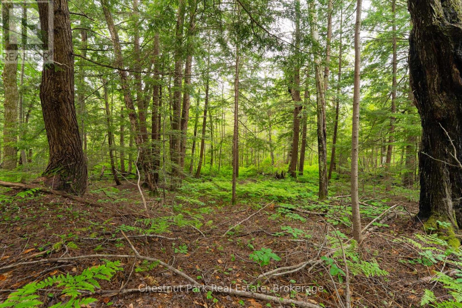 1066 Uffington Road, Bracebridge, Ontario P1L 1X1 - Photo 2 - X13440718