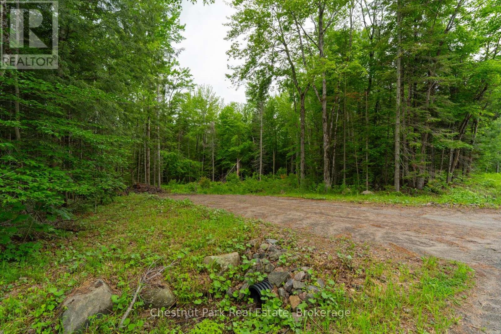1066 Uffington Road, Bracebridge, Ontario P1L 1X1 - Photo 3 - X13440718