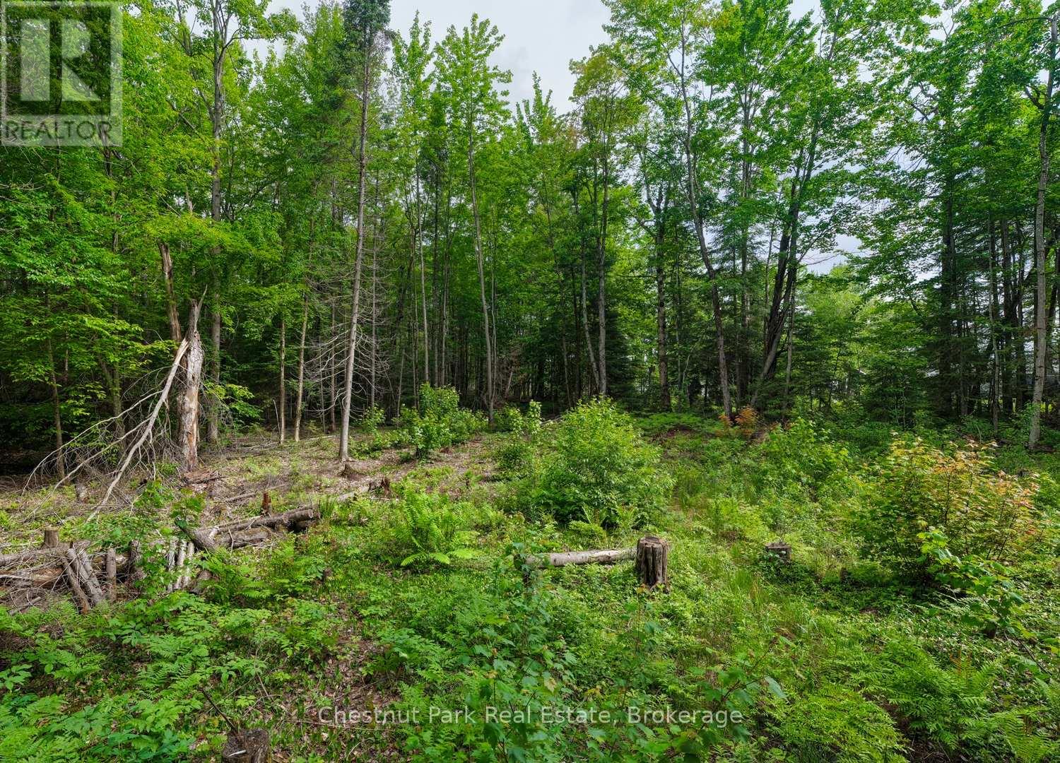 1066 Uffington Road, Bracebridge, Ontario P1L 1X1 - Photo 4 - X13440718