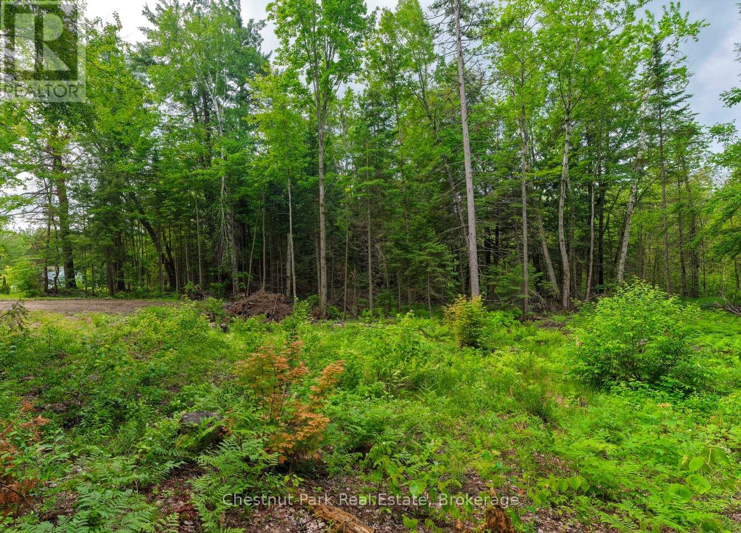 1066 Uffington Road, Bracebridge, Ontario P1L 1X1 - Photo 5 - X13440718
