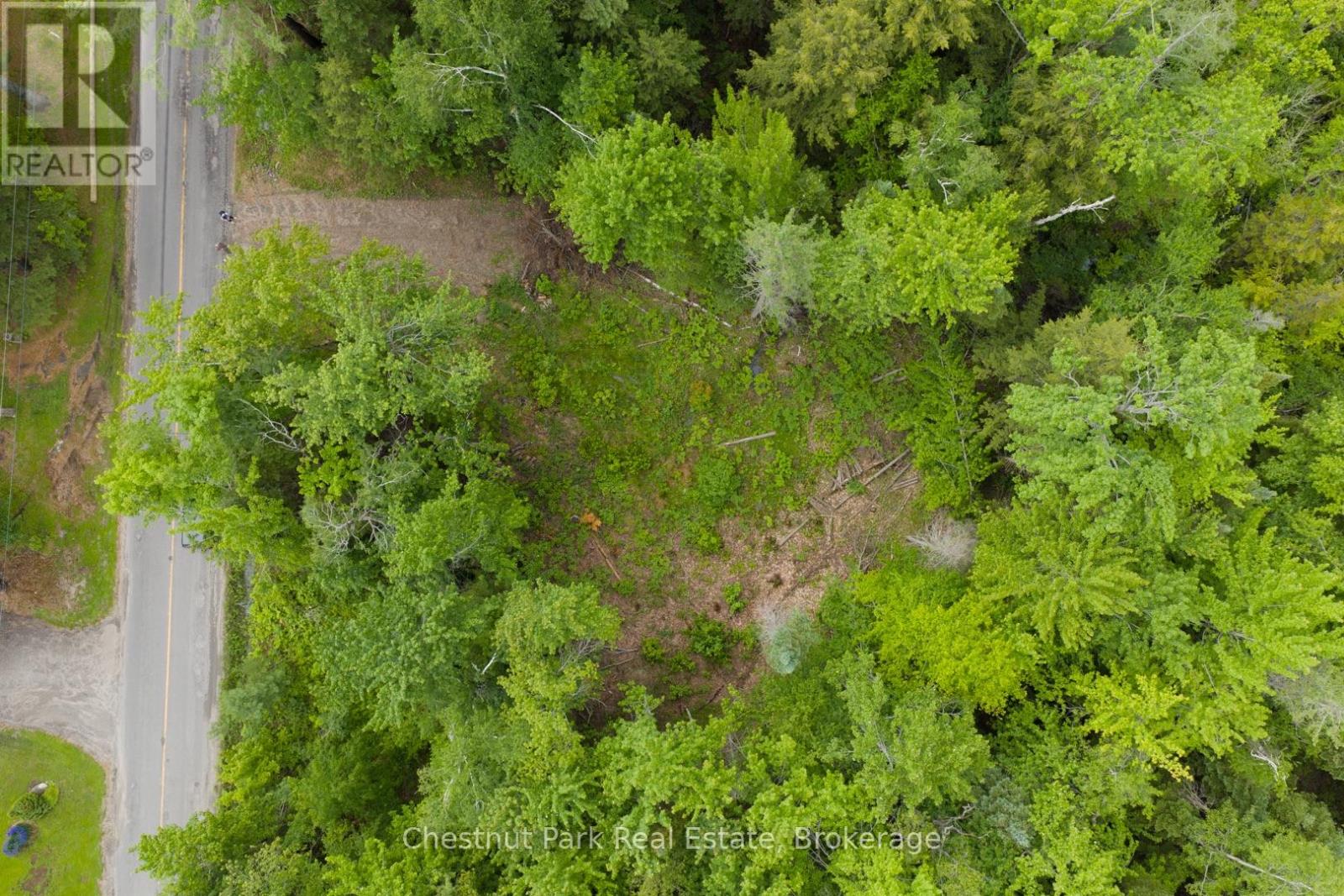 1066 Uffington Road, Bracebridge, Ontario P1L 1X1 - Photo 6 - X13440718