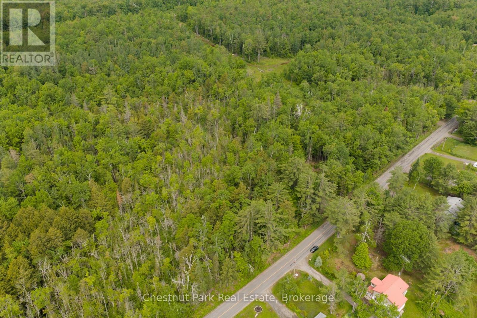 1066 Uffington Road, Bracebridge, Ontario P1L 1X1 - Photo 9 - X13440718