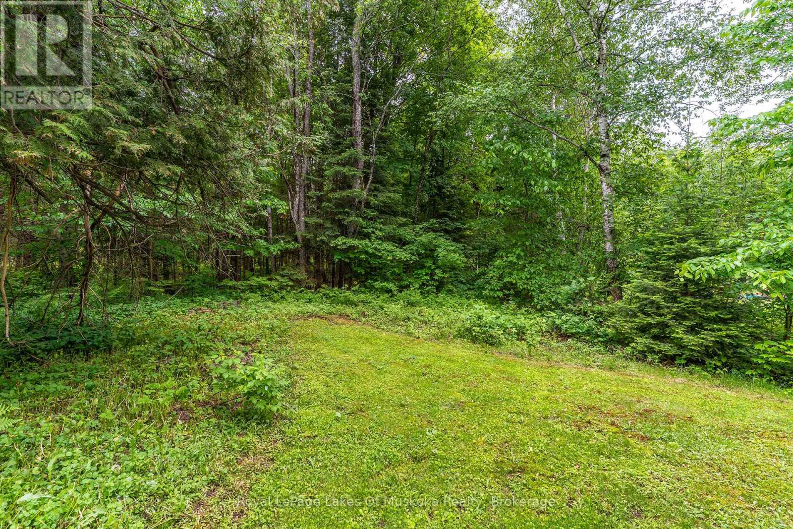 1136 Springdale Shores Private, Bracebridge, Ontario P1L 1W9 - Photo 20 - X13441144