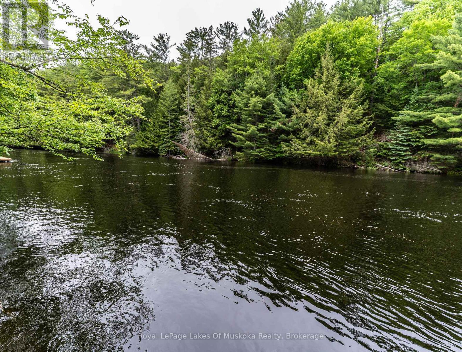 1136 Springdale Shores Private, Bracebridge, Ontario P1L 1W9 - Photo 3 - X13441144