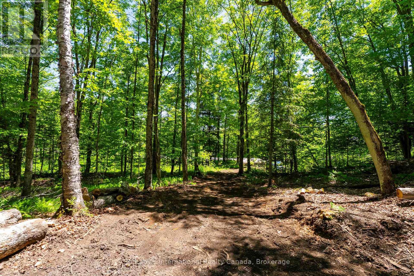 4150 South Portage Road, Huntsville, Ontario P1H 2J3 - Photo 10 - X13441630