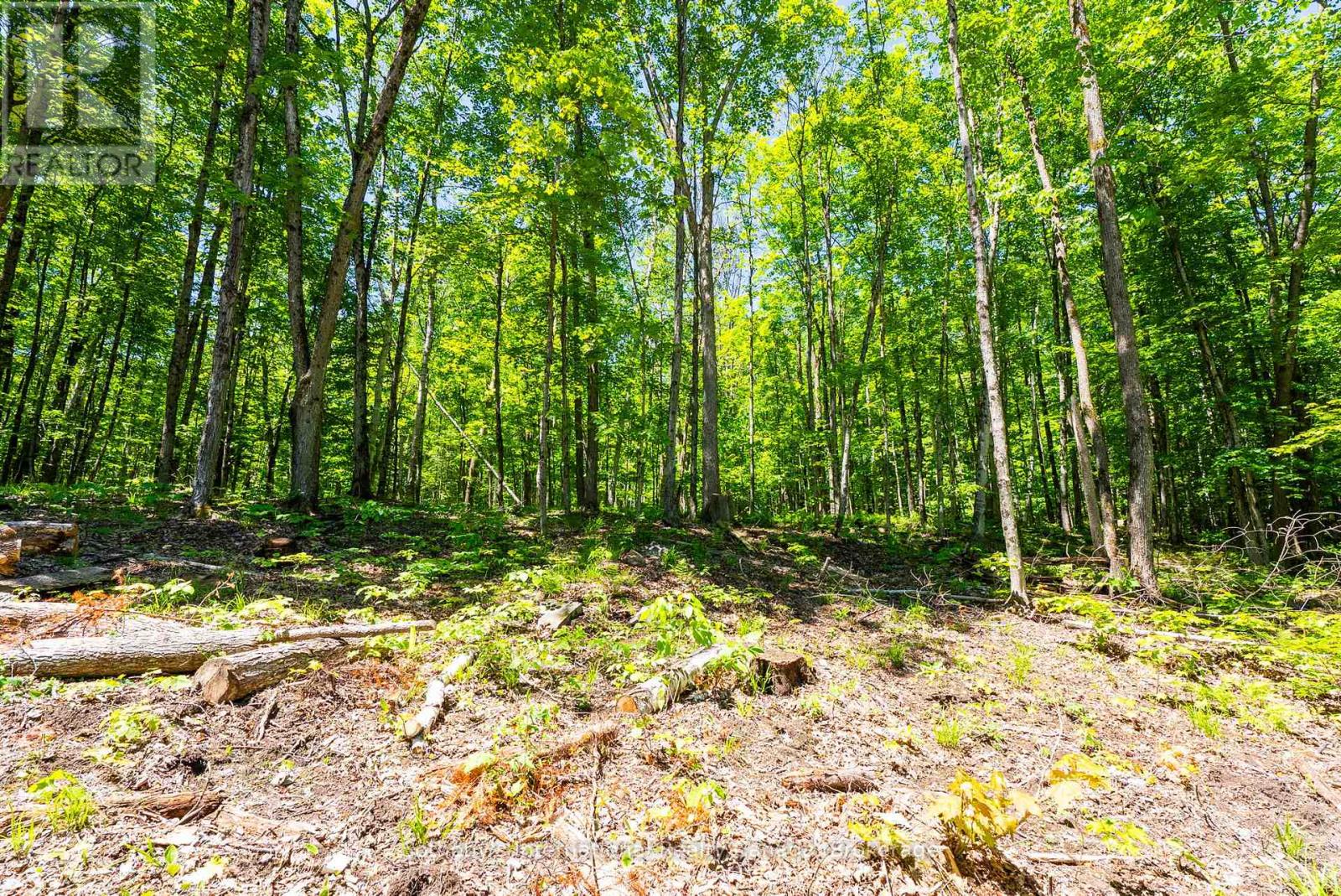 4150 South Portage Road, Huntsville, Ontario P1H 2J3 - Photo 12 - X13441630