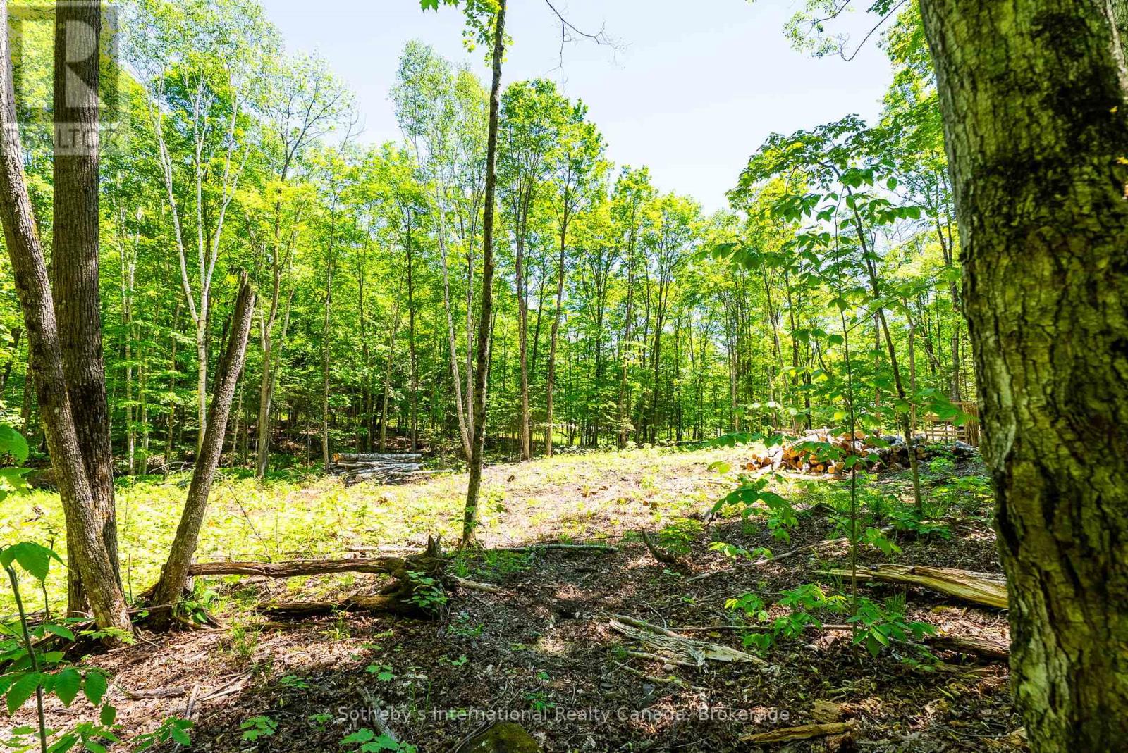 4150 South Portage Road, Huntsville, Ontario P1H 2J3 - Photo 13 - X13441630