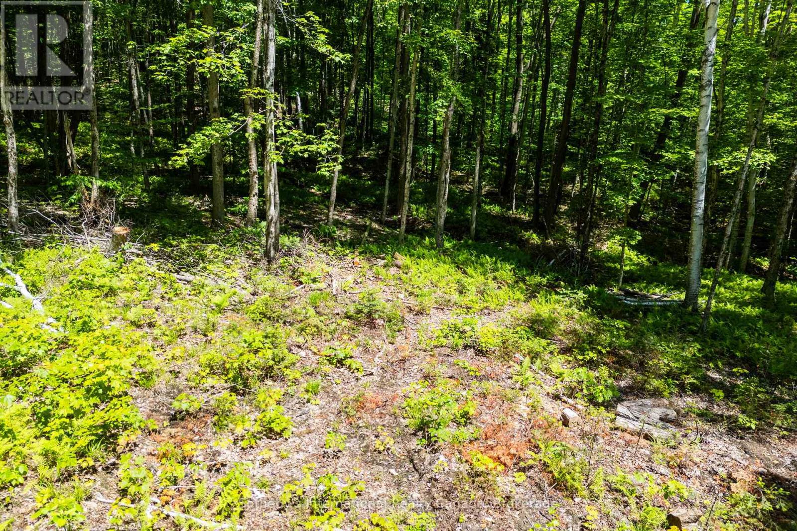 4150 South Portage Road, Huntsville, Ontario P1H 2J3 - Photo 14 - X13441630
