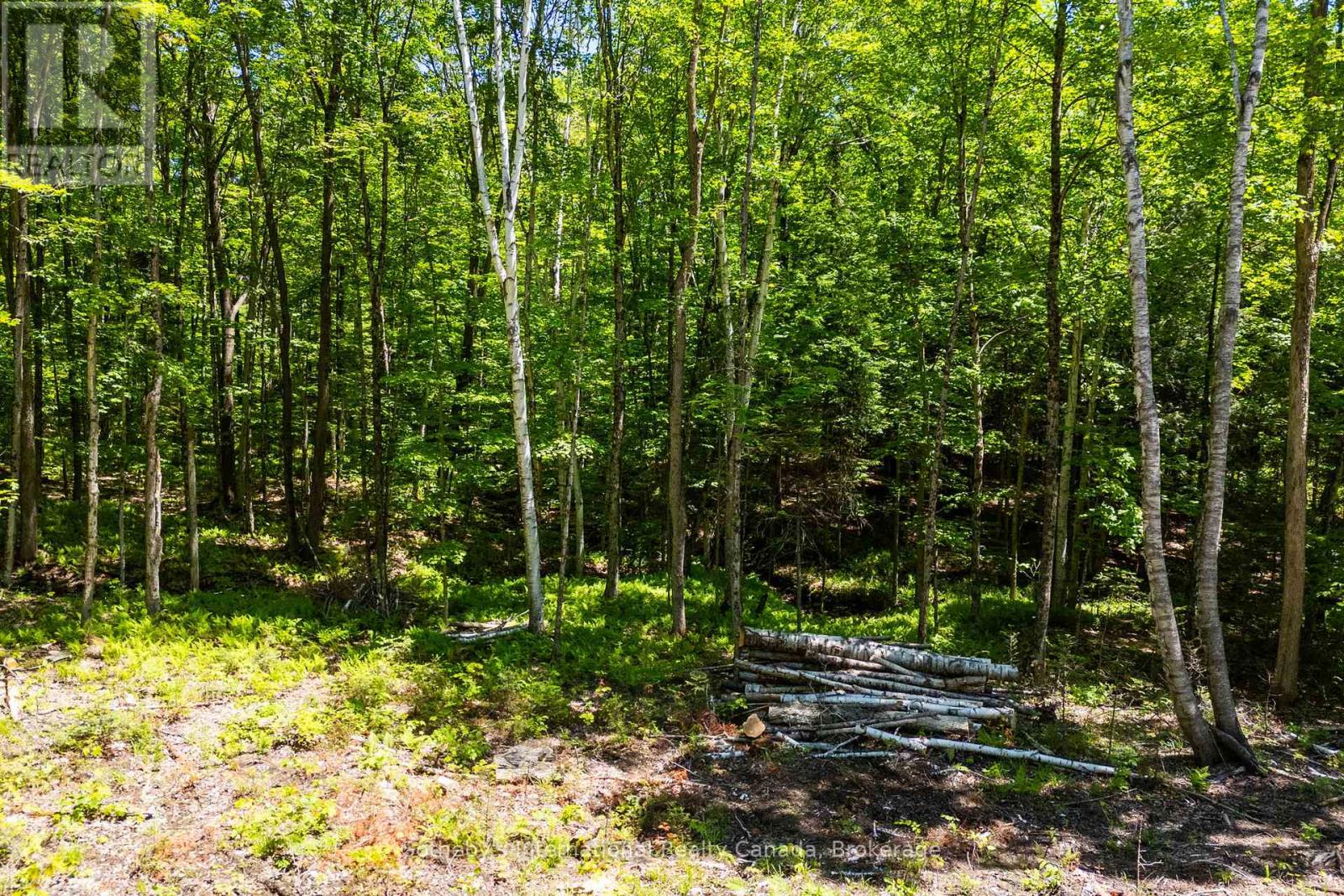 4150 South Portage Road, Huntsville, Ontario P1H 2J3 - Photo 15 - X13441630