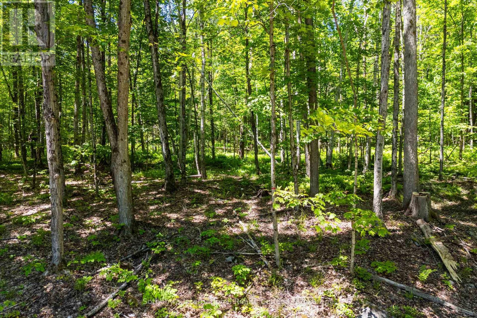 4150 South Portage Road, Huntsville, Ontario P1H 2J3 - Photo 16 - X13441630