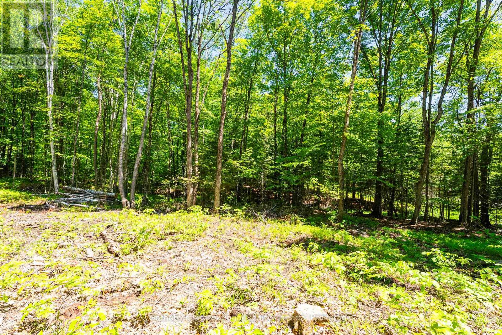 4150 South Portage Road, Huntsville, Ontario P1H 2J3 - Photo 9 - X13441630